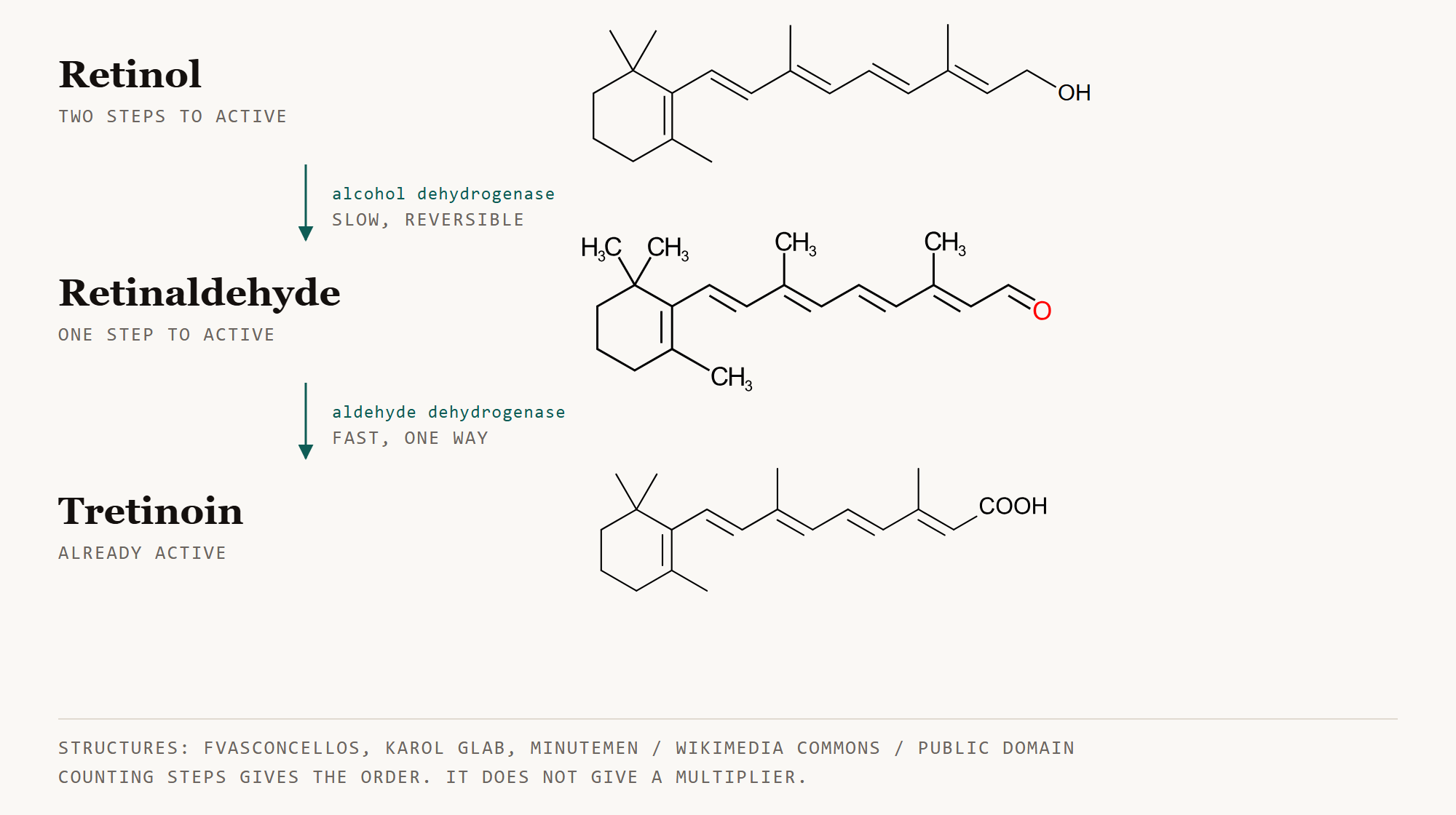 Chemical structures of retinol, retinaldehyde and tretinoin side by side, showing the two step conversion pathway