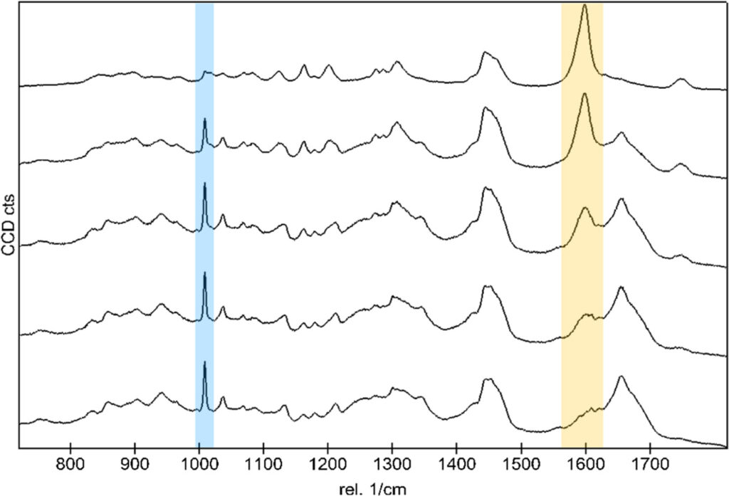 Graphs showing skin absorbtion of retinol emulsion